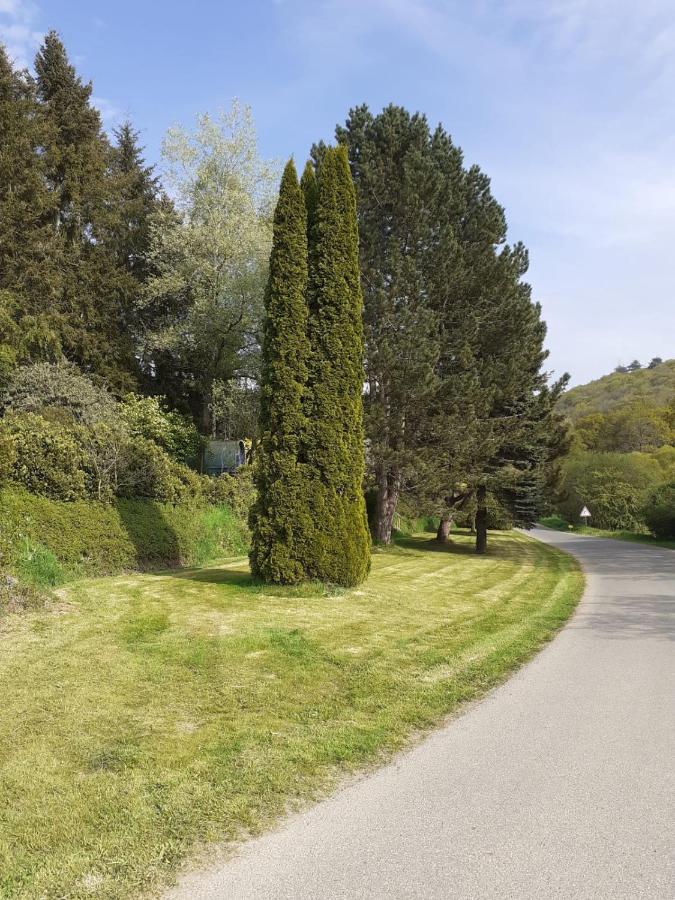 Hotel Retraite Rustique En Bordure De Foret A La Campagne Belle-Isle-en-Terre Exterior foto